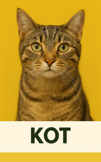 KOT