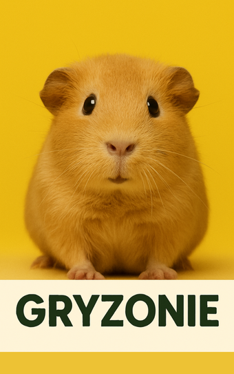 GRYZONIE